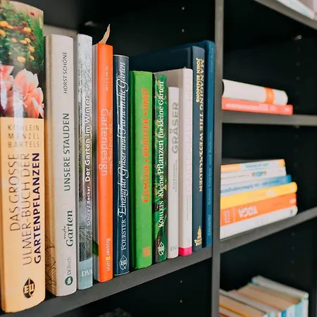 Lieblingsplatz Ferienhaus